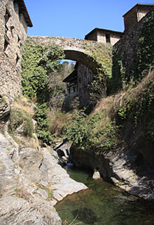 Beget